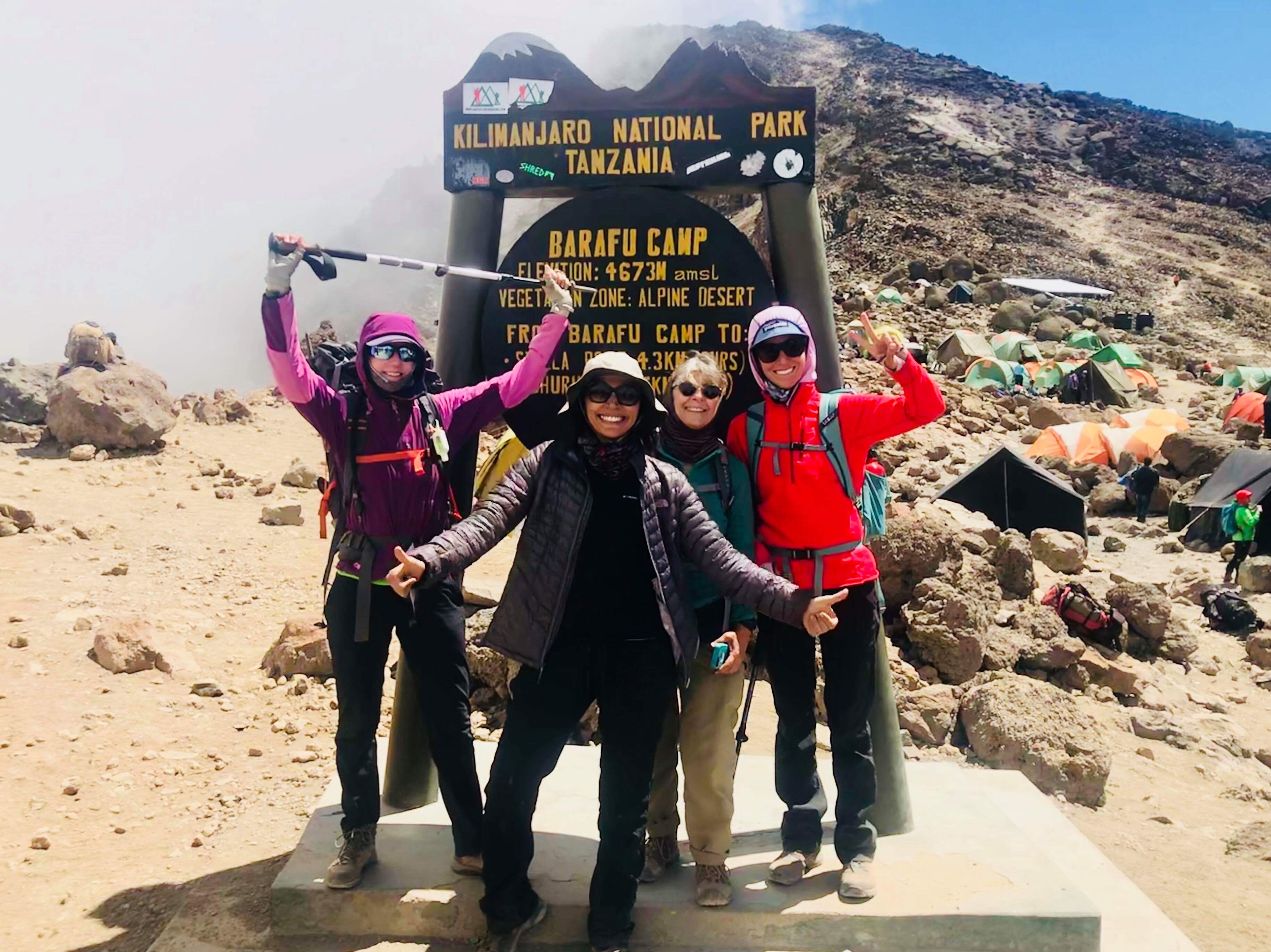 Climb Kilimanjaro, climbing the seven summits