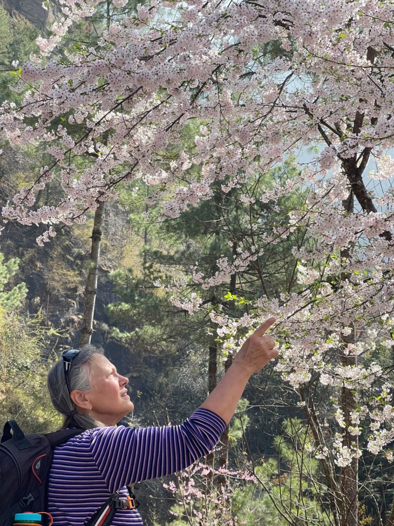 Spring in the Khumbu Valley - Photo: Tomas Ceppi