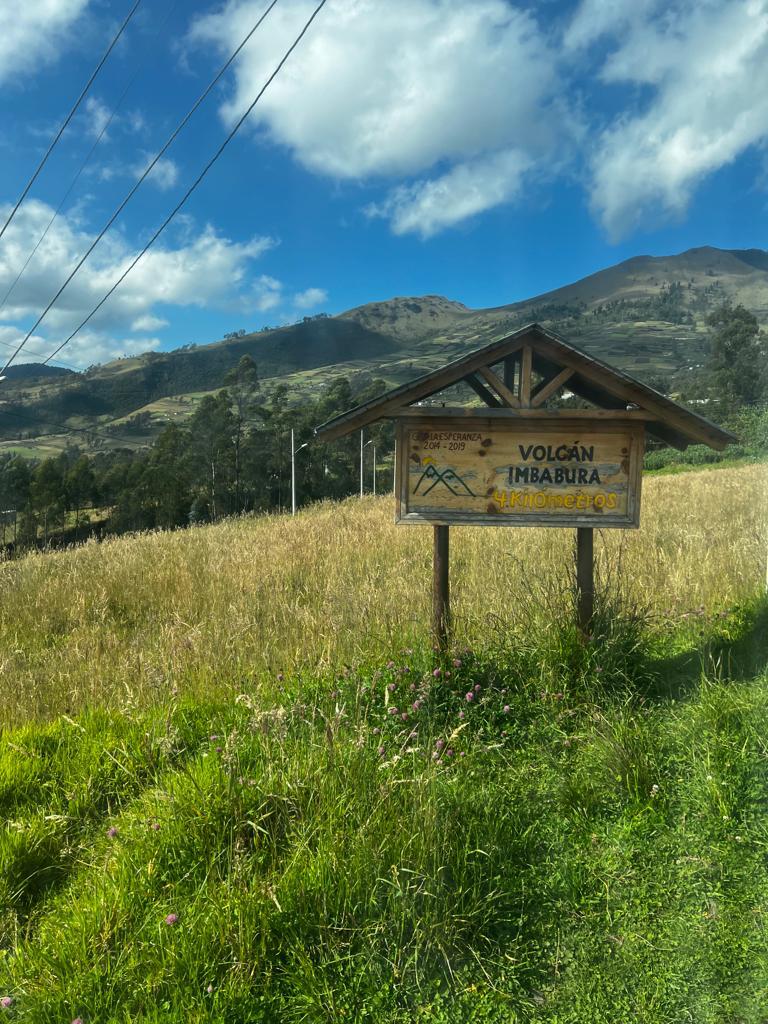 Subalpine grasslands on Imbabura - photo Franklin Varela